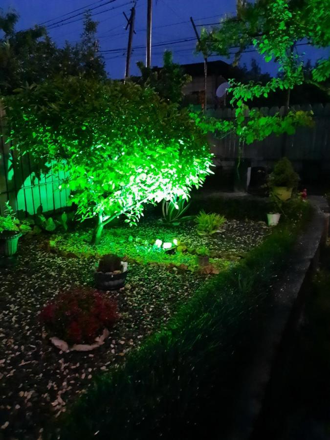 Sisi Guest House クタイシ エクステリア 写真