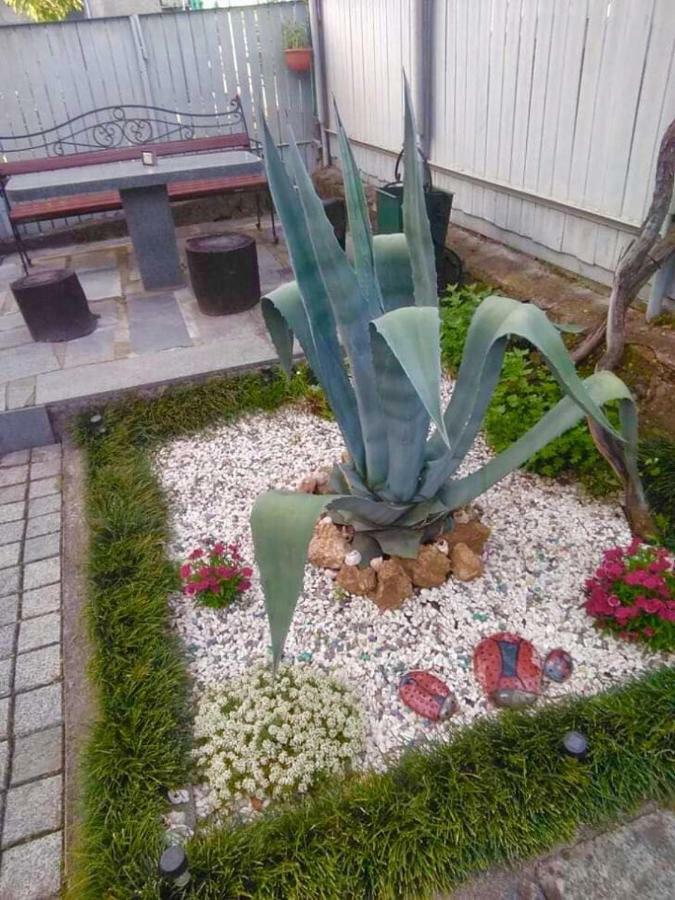 Sisi Guest House クタイシ エクステリア 写真